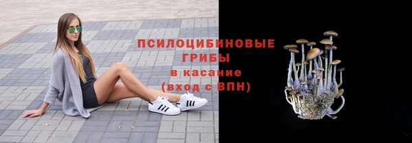 кокаин премиум Ельня