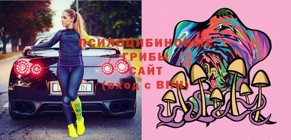 гашик Елабуга