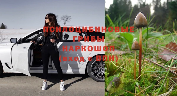 кокаин премиум Ельня