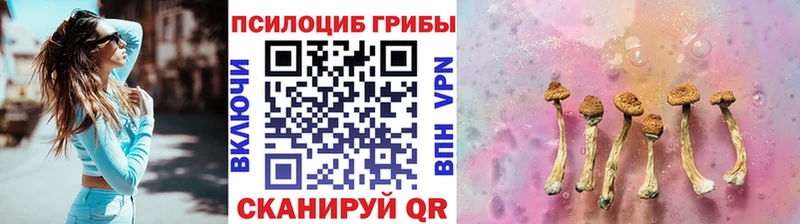 Купить  Задонск  Псилоцибиновые грибы мухоморы 